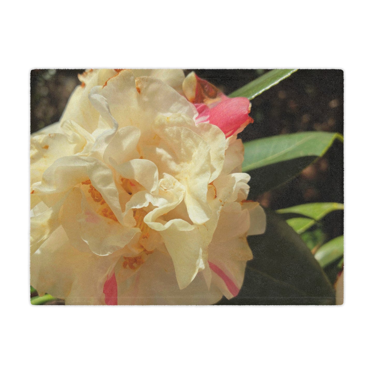 Floral Peony Minky Blanket - Soft Cream & Pink Botanical Throw