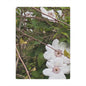 Clematis Floral Minky Blanket — Soft White Flower Garden Throw