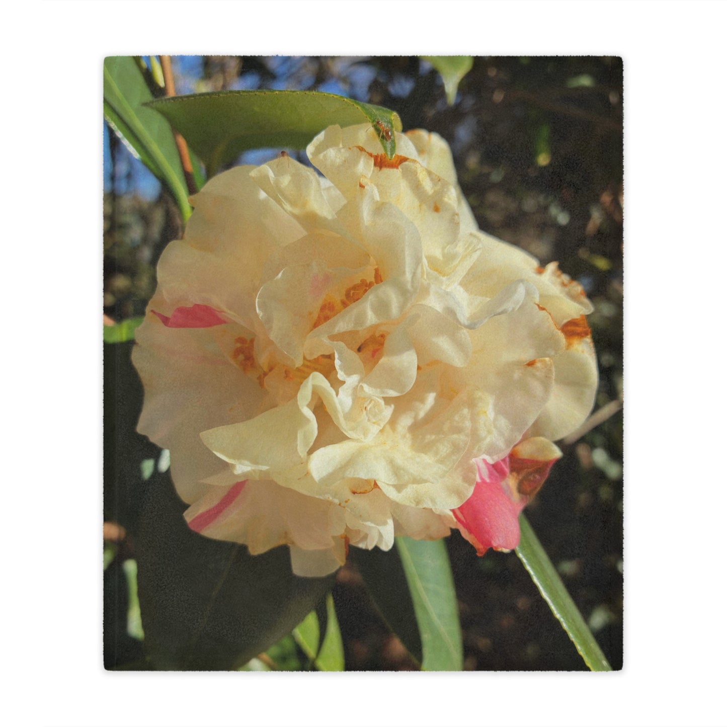Floral Camellia Minky Blanket — Soft Botanical Throw