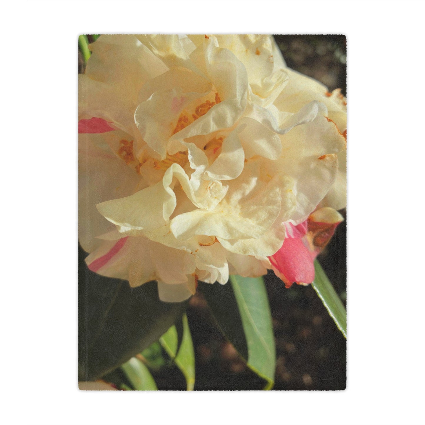 Floral Peony Minky Blanket - Soft Cream & Pink Botanical Throw