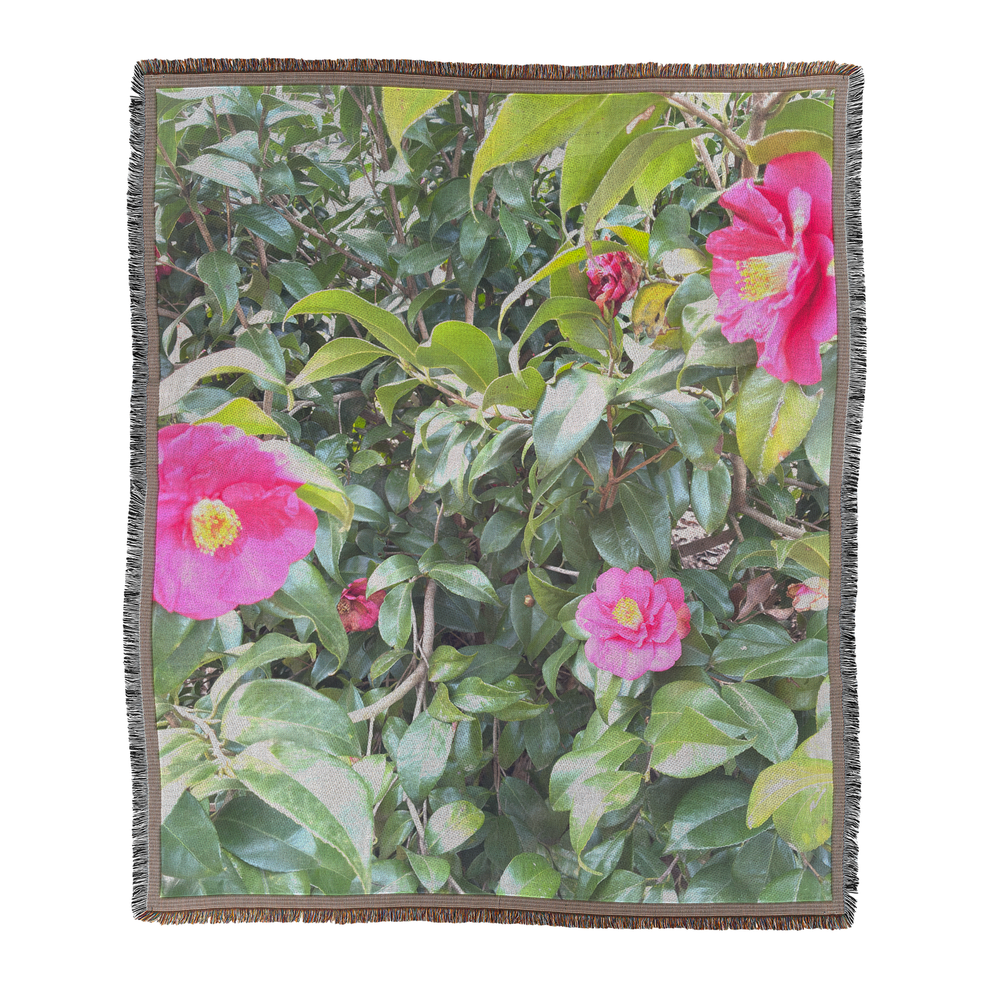 Greensbo_Red_Main_V_Mockup.png_15619552