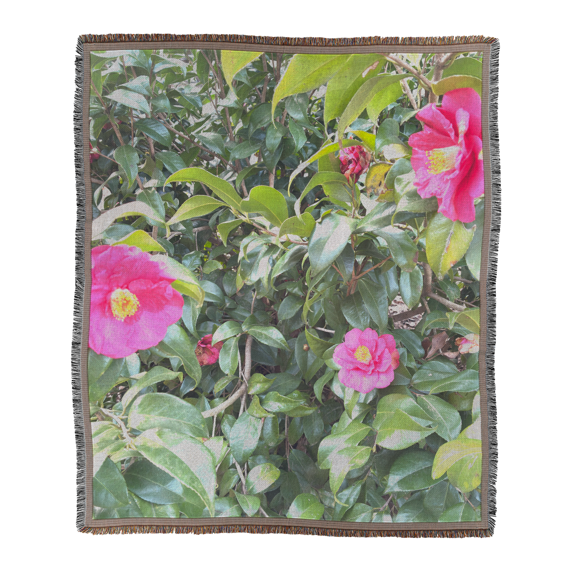 Greensbo_Red_Main_V_Mockup.png_15619552