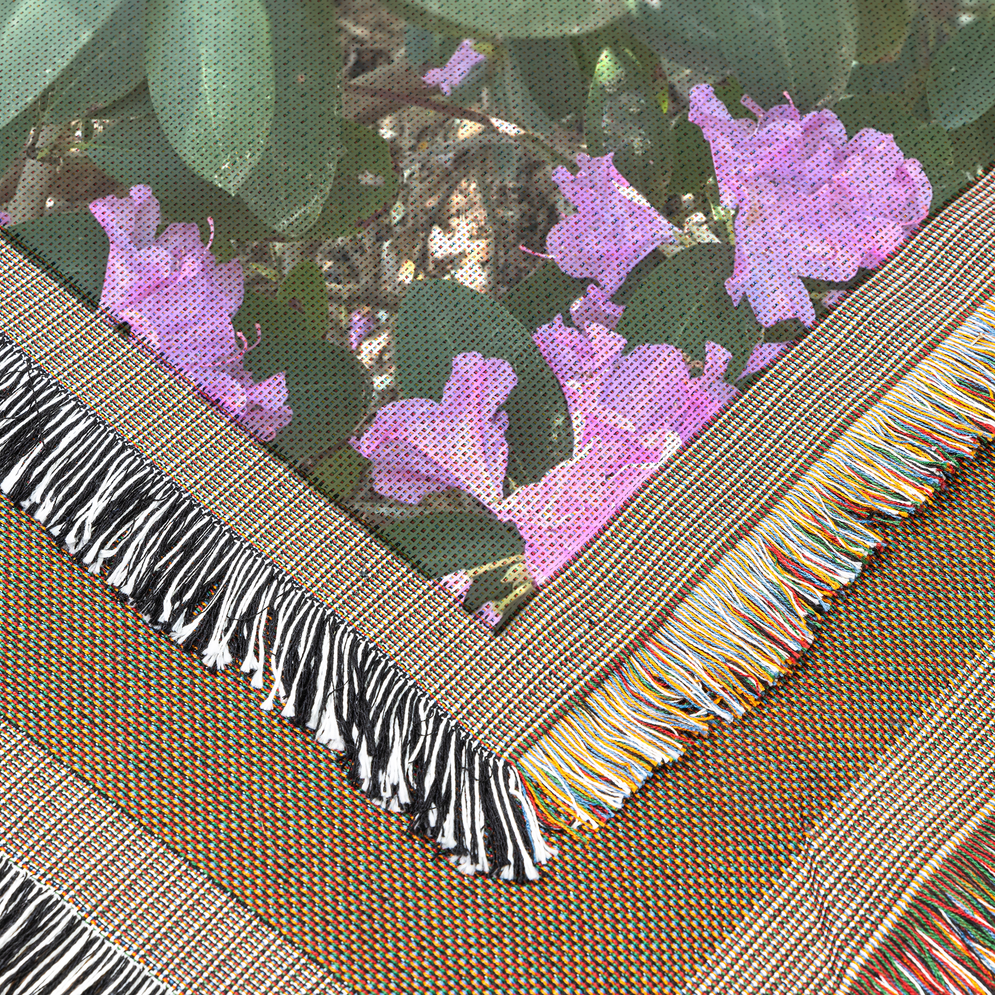 More_Perple_flouers_CloseUp_V_Mockup.png_15595163
