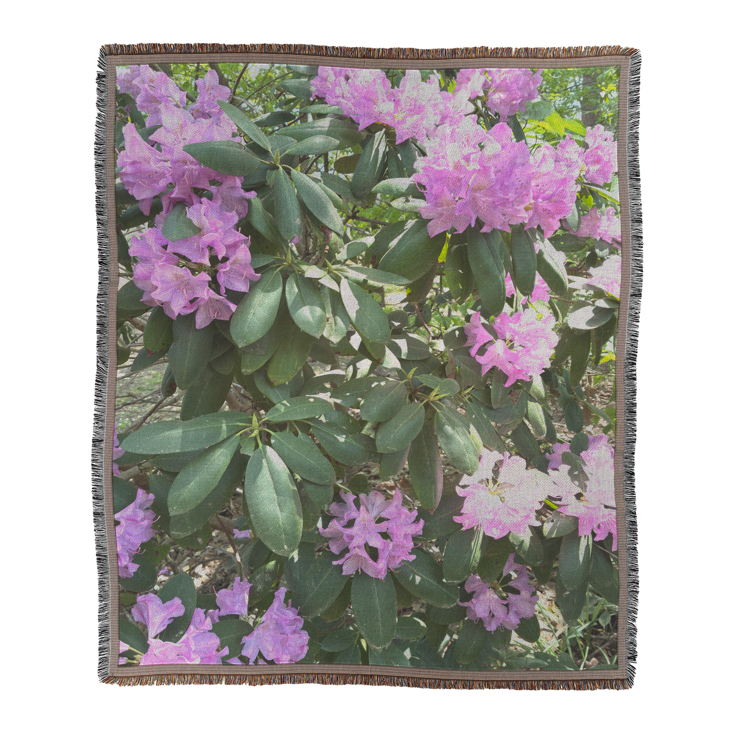 More_Perple_flouers_Main_V_Mockup.png_15595162